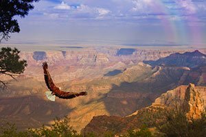 Grand Canyon Railroad Tour From Las Vegas Grand Canyon Railroad Tour From Las Vegas